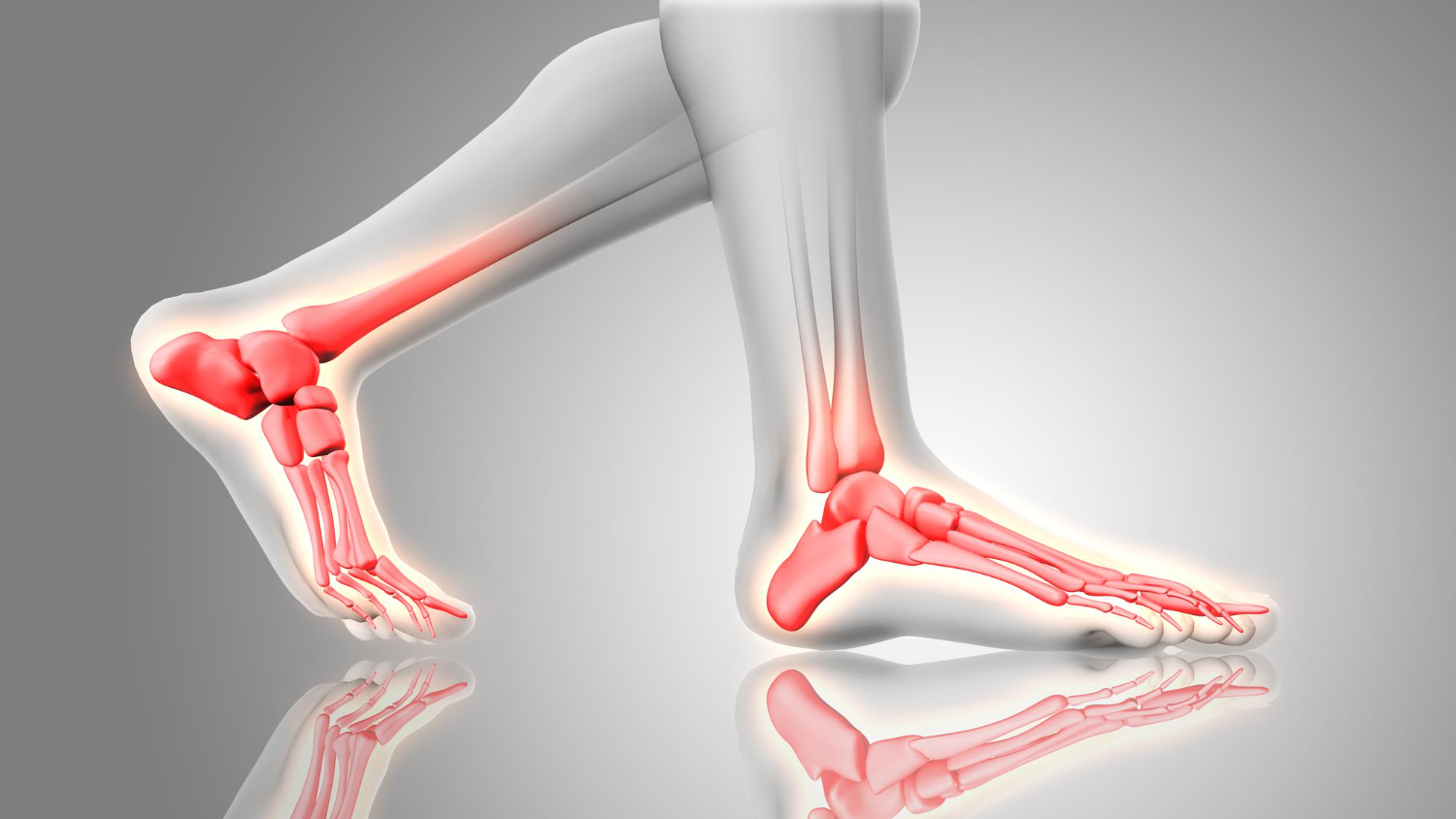 Illustration representing foot and ankle orthopedic care